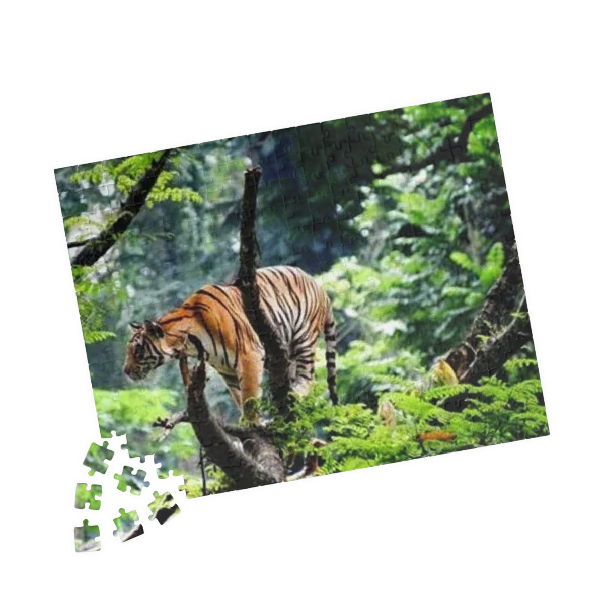 Tiger in Jungle Photo Puzzle — Wildlife Jigsaw for Adults & Kids (110,252,520- pcs)