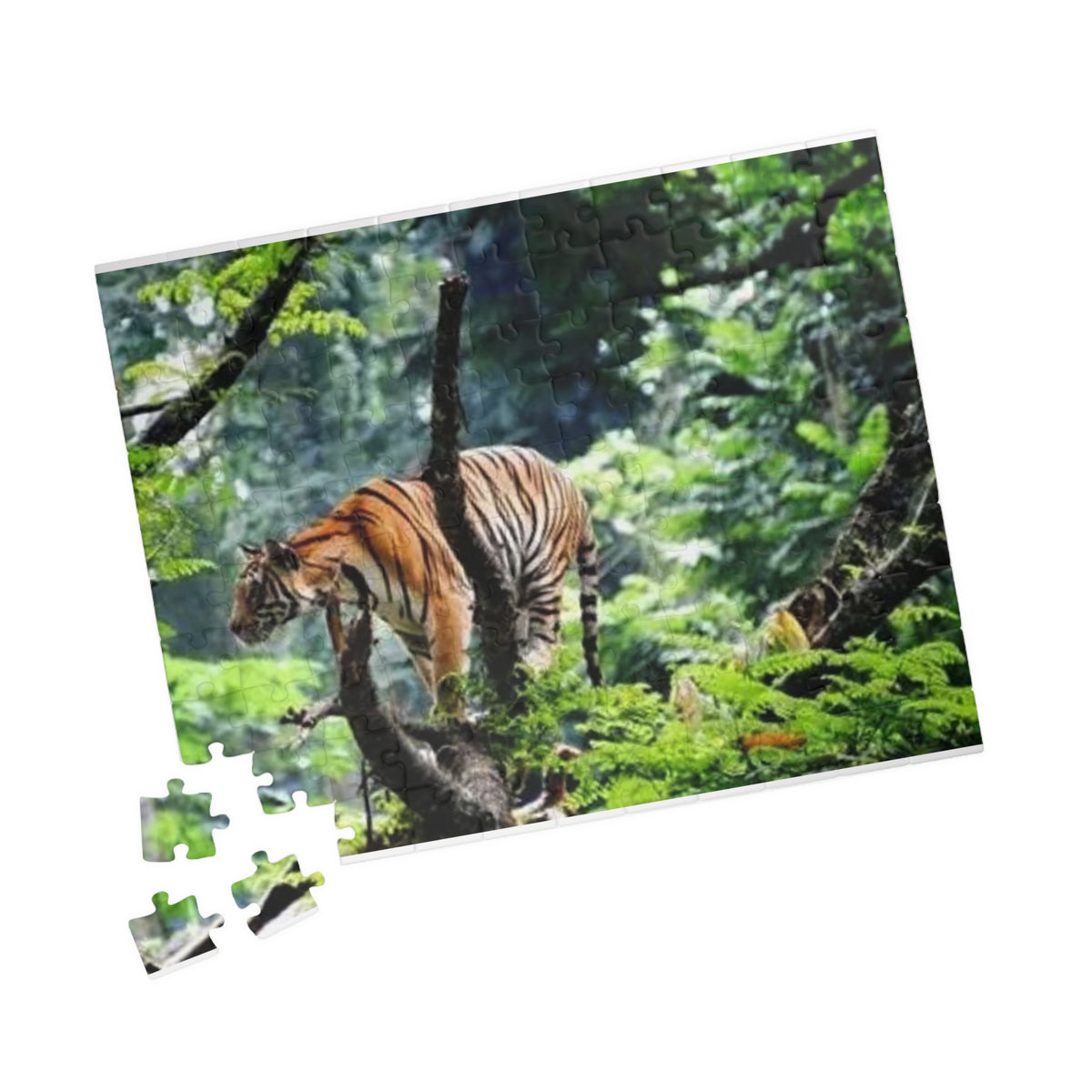 Tiger in Jungle Photo Puzzle — Wildlife Jigsaw for Adults & Kids (110,252,520- pcs)