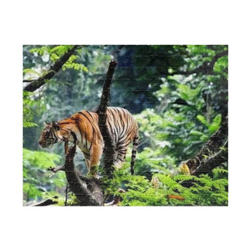 Tiger in Jungle Photo Puzzle — Wildlife Jigsaw for Adults & Kids (110,252,520- pcs)